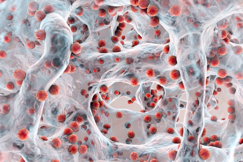 Evidence of bacterial biofilms within acute wounds: a systematic review