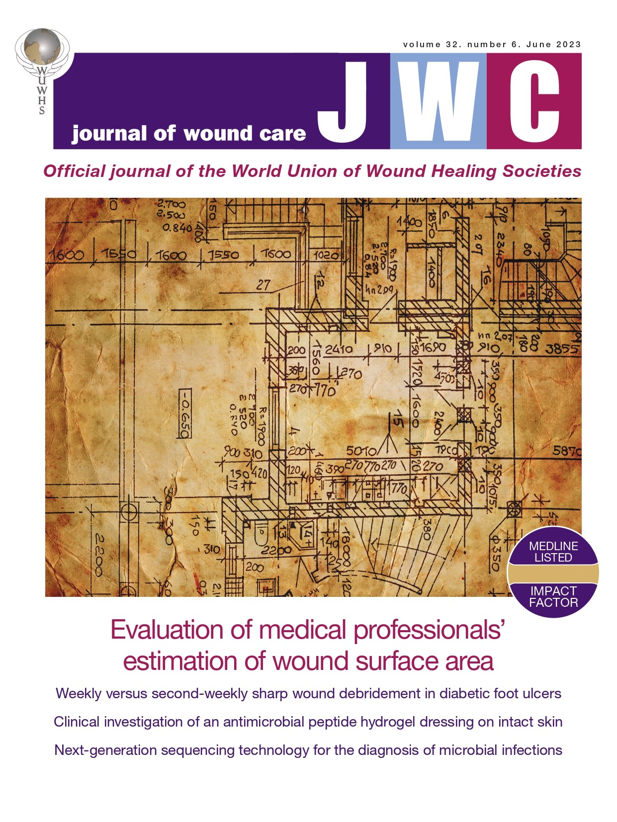 Mental Health Care Journal Articles Mental Health Care Journal Articles