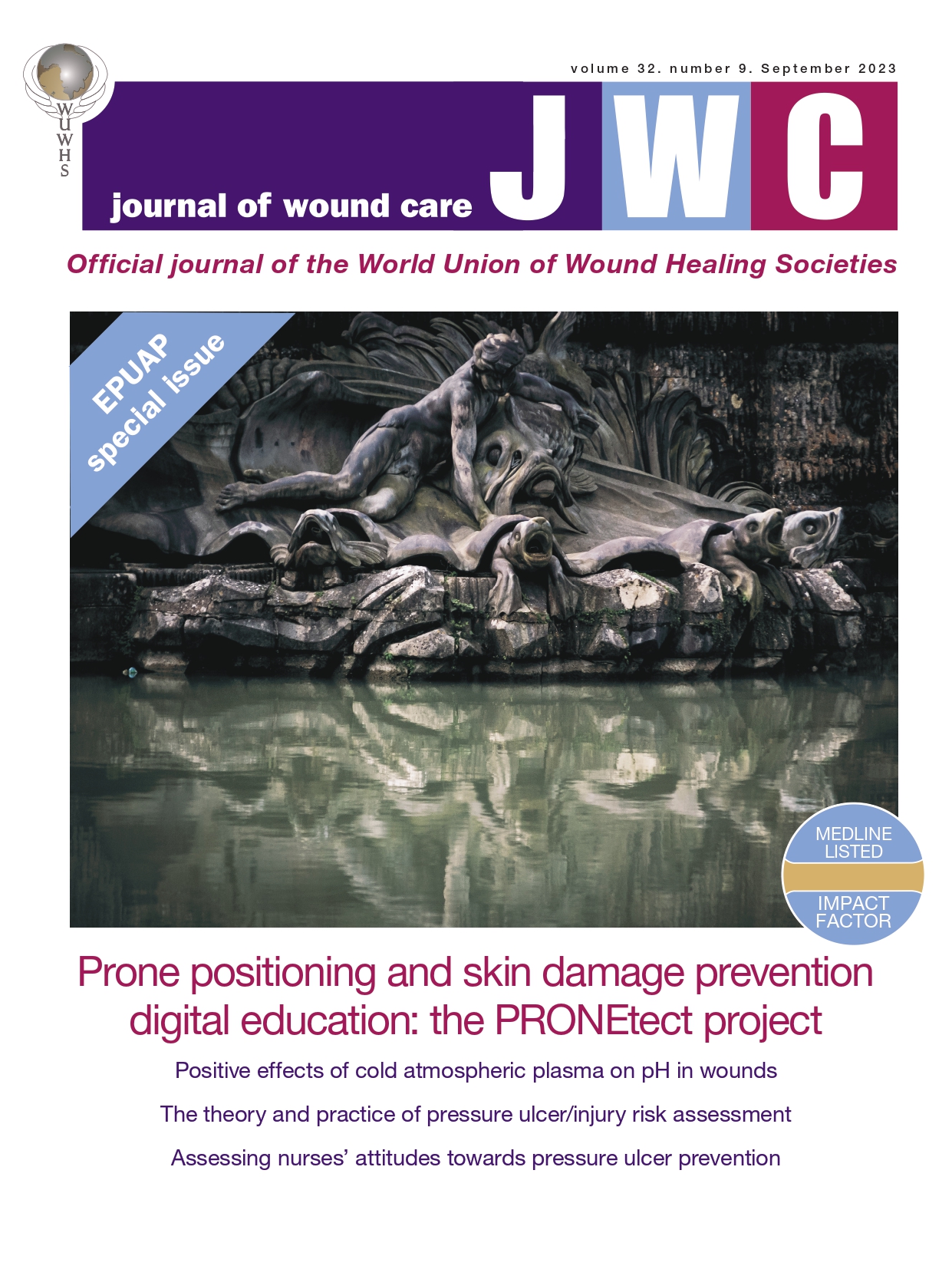Journal of Wound Care