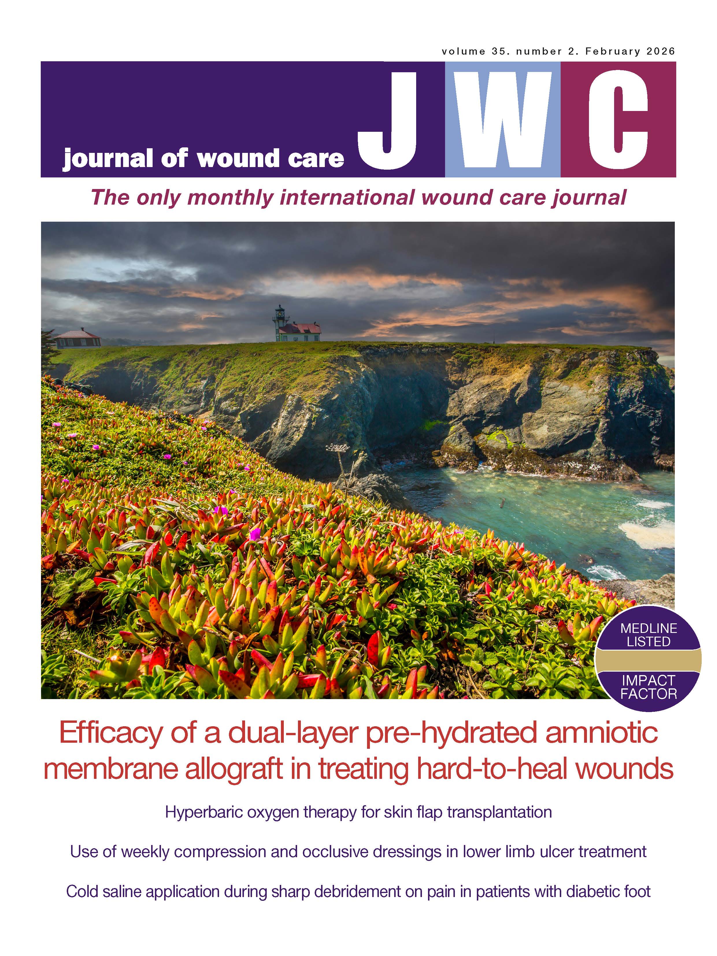 Journal of Wound Care