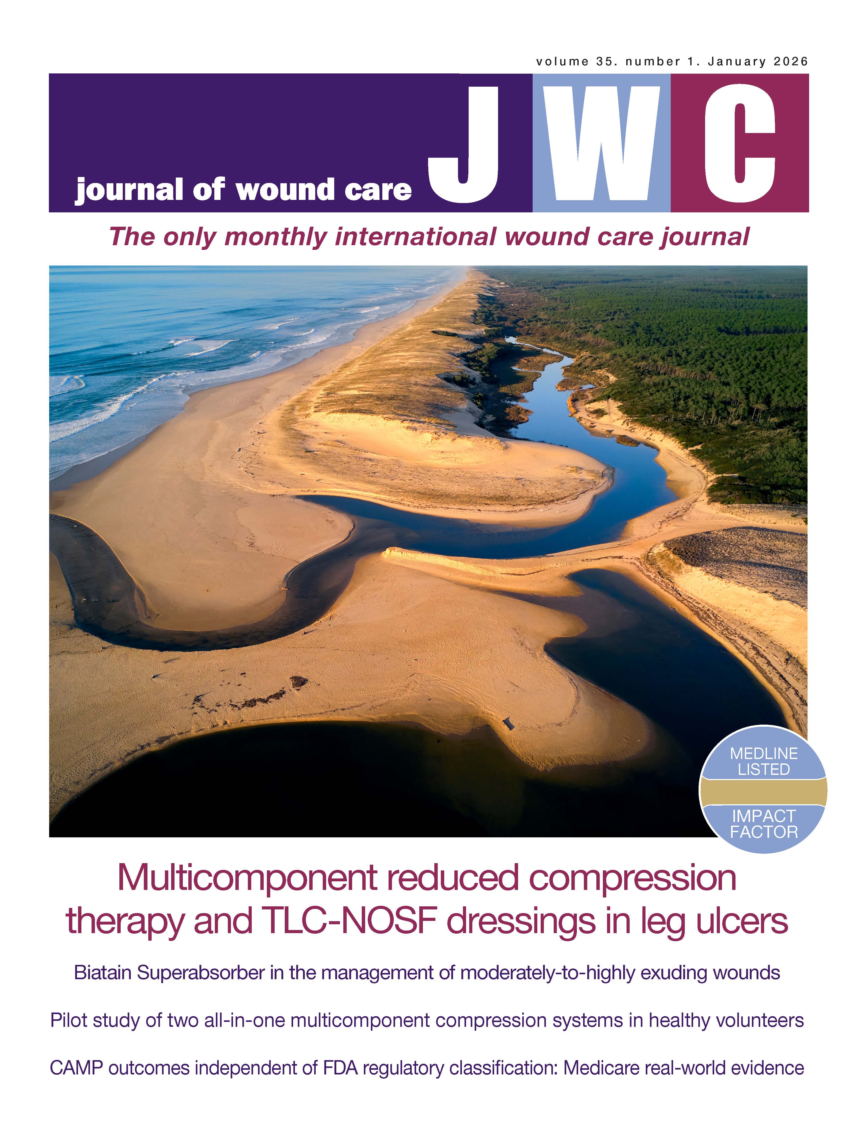 Journal of Wound Care