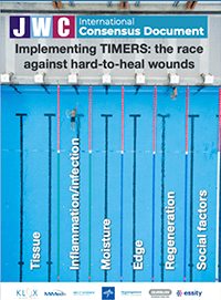 Implementing TIMERS: the race against hard-to-heal wounds