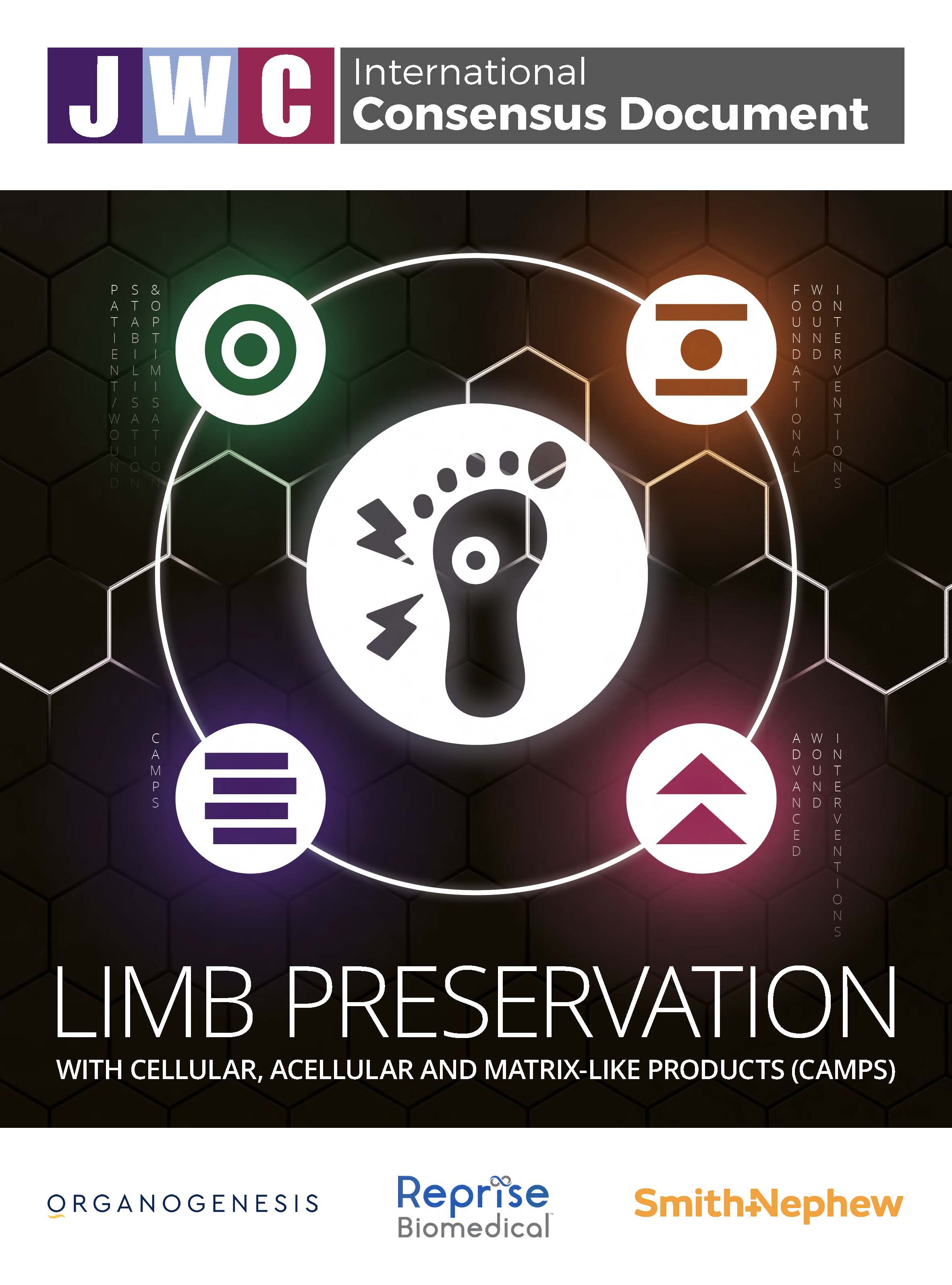 Leg ulceration in venous and
                                                                                                        arteriovenous insufficiency
                                                                                                        assessment and management
                                                                                                        with compression therapy
                                                                                                        as part of a holistic wound‑healing strategy