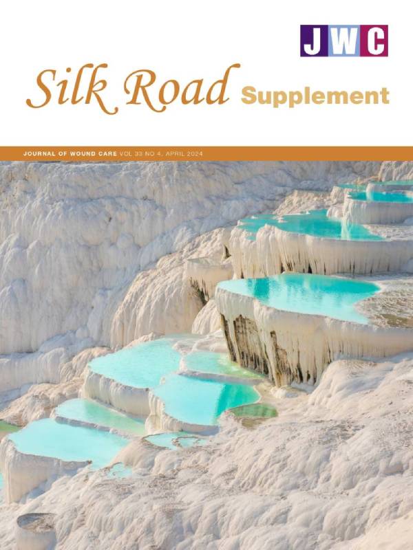 Silk Road supplement